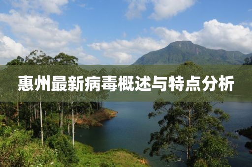 惠州最新病毒概述与特点分析