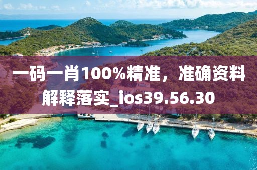 一码一肖100%精准，准确资料解释落实_ios39.56.30