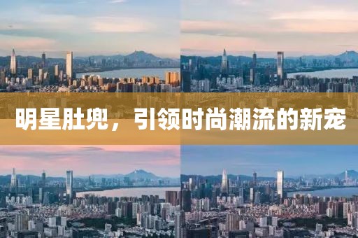 明星肚兜，引领时尚潮流的新宠