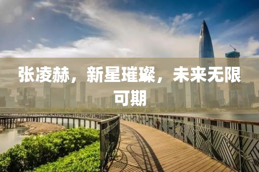 失言 第71页