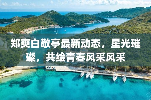 郑爽白敬亭最新动态，星光璀璨，共绘青春风采风采