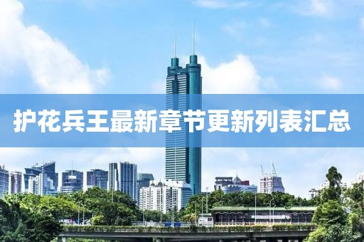 护花兵王最新章节更新列表汇总