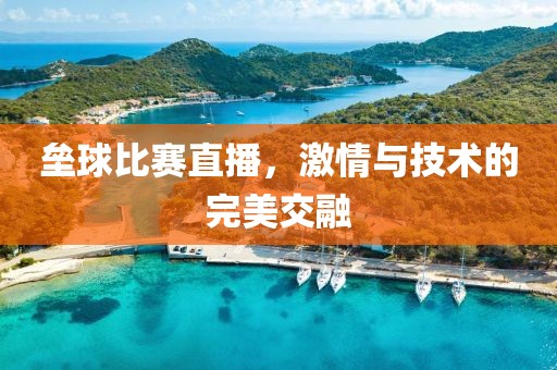 垒球比赛直播，激情与技术的完美交融