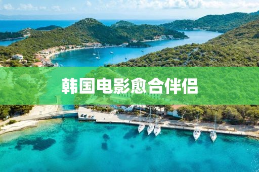 韩国电影愈合伴侣