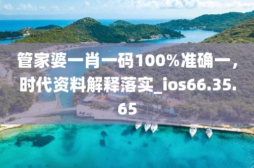管家婆一肖一码100%准确一，时代资料解释落实_ios66.35.65