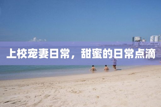 上校宠妻日常，甜蜜的日常点滴