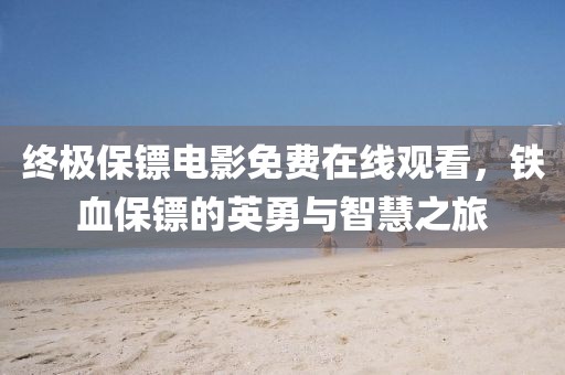 终极保镖电影免费在线观看，铁血保镖的英勇与智慧之旅