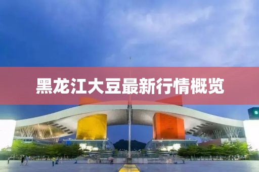 黑龙江大豆最新行情概览