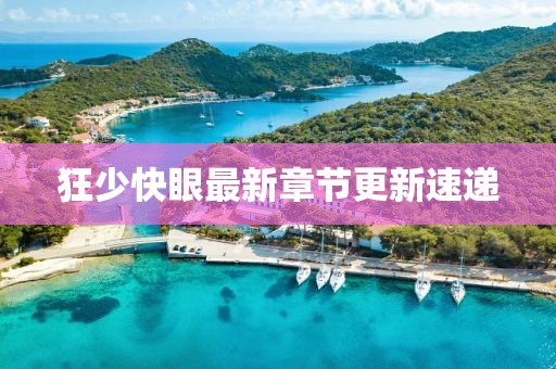 狂少快眼最新章节更新速递
