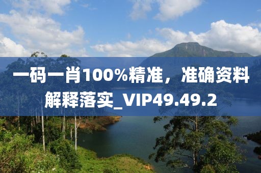 一码一肖100%精准，准确资料解释落实_VIP49.49.2