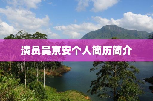 演员吴京安个人简历简介