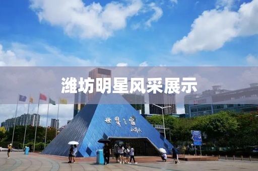 潍坊明星风采展示