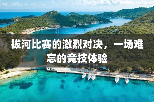 拔河比赛的激烈对决，一场难忘的竞技体验