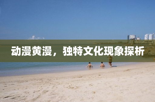动漫黄漫，独特文化现象探析
