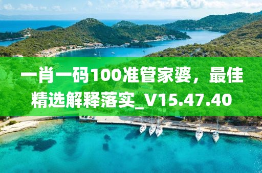 一肖一码100准管家婆，最佳精选解释落实_V15.47.40