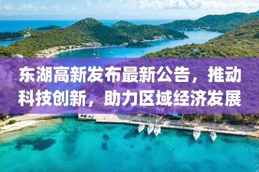东湖高新发布最新公告，推动科技创新，助力区域经济发展