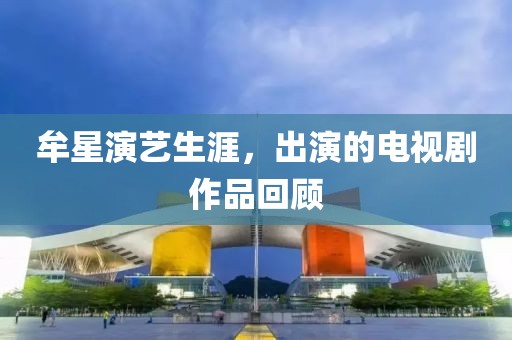 牟星演艺生涯，出演的电视剧作品回顾