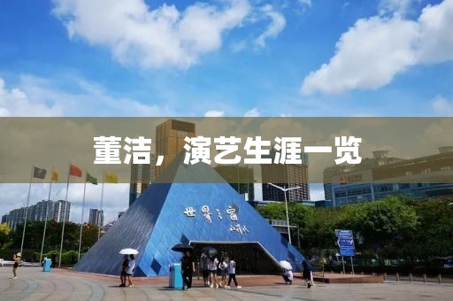 董洁，演艺生涯一览