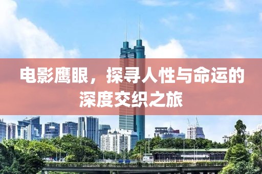 电影鹰眼，探寻人性与命运的深度交织之旅