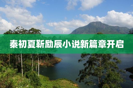 暴巧荷 第4页