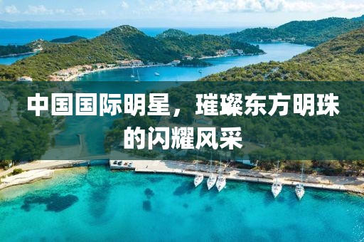 中国国际明星，璀璨东方明珠的闪耀风采