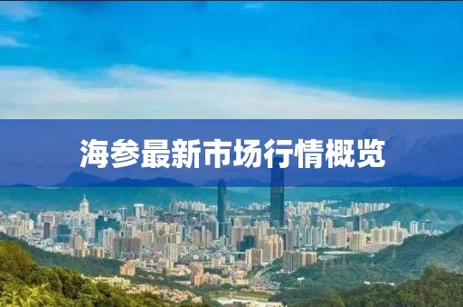 海参最新市场行情概览