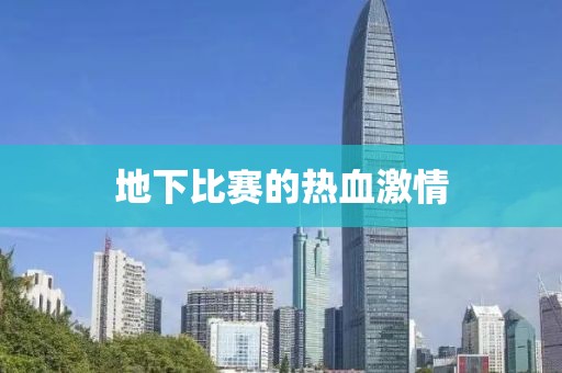 皮孟阳 第4页