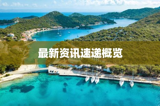 最新资讯速递概览