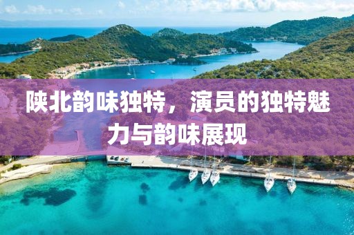 陕北韵味独特，演员的独特魅力与韵味展现
