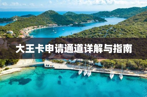 大王卡申请通道详解与指南