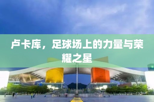 卢卡库，足球场上的力量与荣耀之星