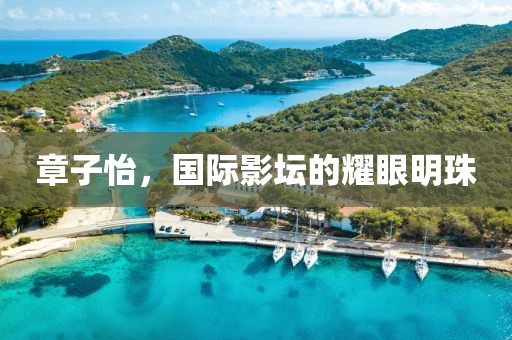 章子怡，国际影坛的耀眼明珠