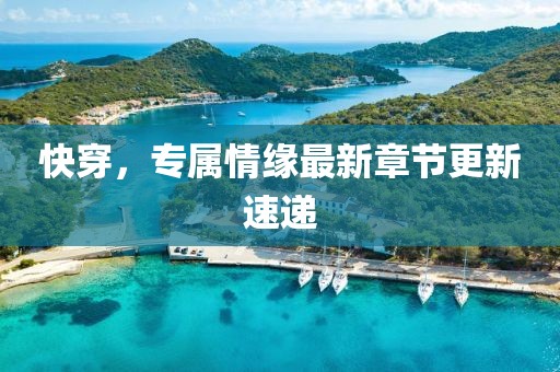 快穿，专属情缘最新章节更新速递