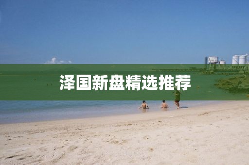 泽国新盘精选推荐