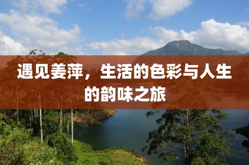 遇见姜萍，生活的色彩与人生的韵味之旅