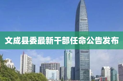 文成县委最新干部任命公告发布