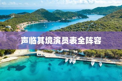 声临其境演员表全阵容