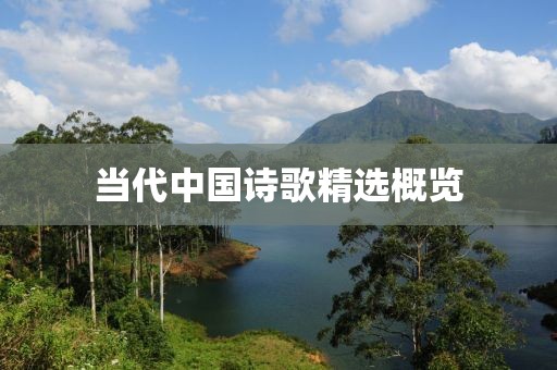 当代中国诗歌精选概览