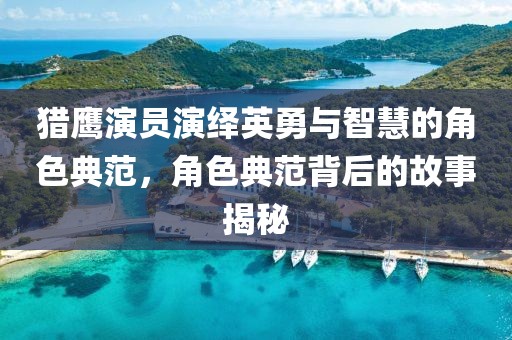 猎鹰演员演绎英勇与智慧的角色典范，角色典范背后的故事揭秘