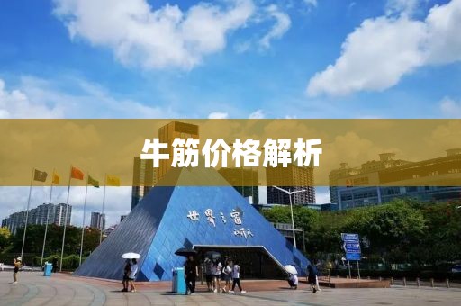 牛筋价格解析