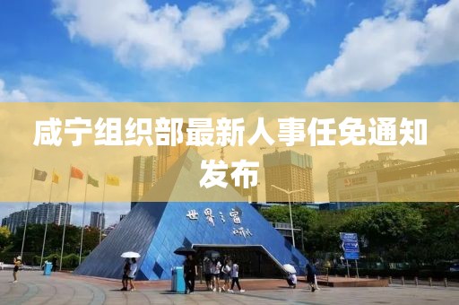 寇司辰 第3页