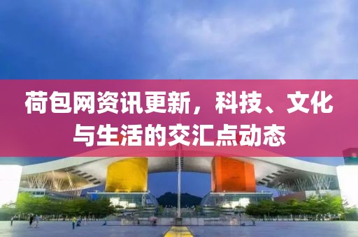 荷包网资讯更新，科技、文化与生活的交汇点动态