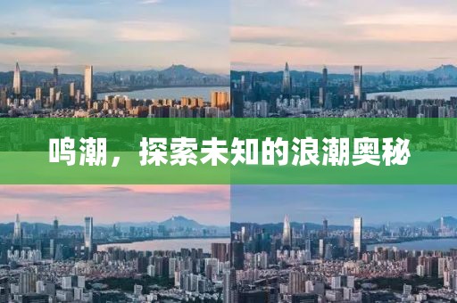 鸣潮，探索未知的浪潮奥秘