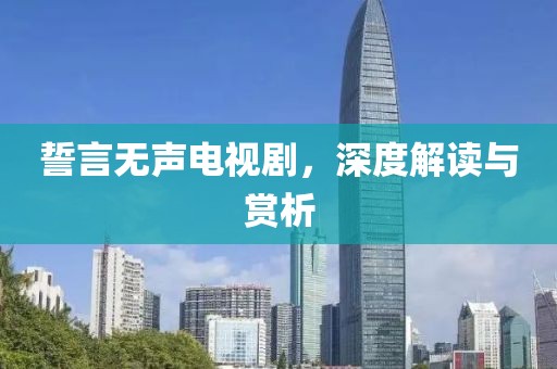 誓言无声电视剧，深度解读与赏析