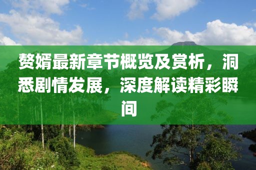 赘婿最新章节概览及赏析，洞悉剧情发展，深度解读精彩瞬间