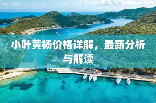 回眸最初 第3页