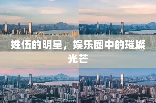 姓伍的明星，娱乐圈中的璀璨光芒