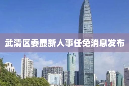 武清区委最新人事任免消息发布
