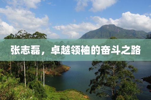 张志磊，卓越领袖的奋斗之路