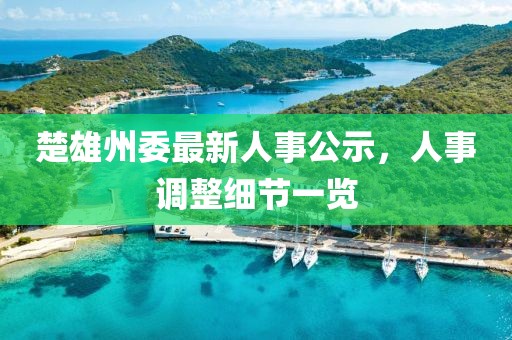 楚雄州委最新人事公示，人事调整细节一览